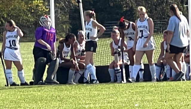 Quick strike Cougars