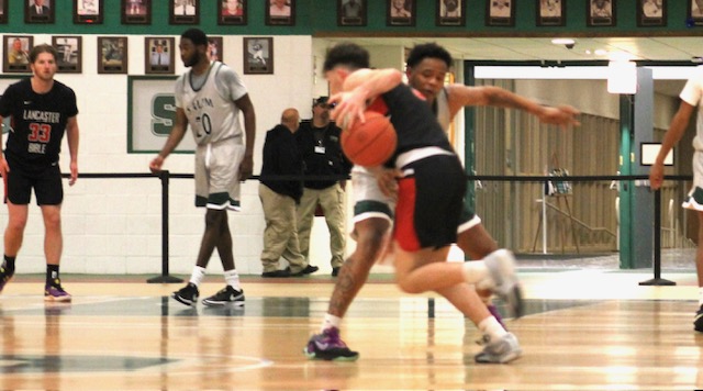 Oaks ‘guard the&nbsp;yard’